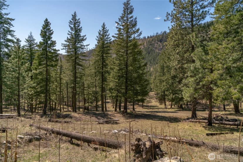 Property photo for 0 Granite Creek, Chelan photo 19