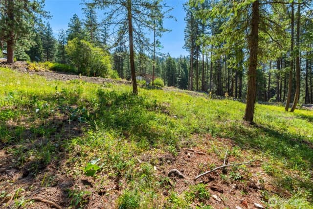 Property photo for 22125 Appaloosa Lane, Leavenworth photo 4
