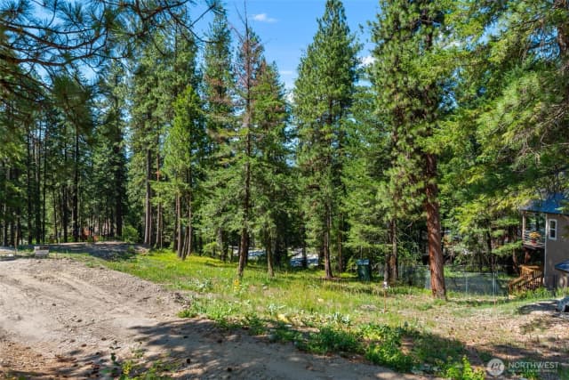 Property photo for 22125 Appaloosa Lane, Leavenworth photo 3