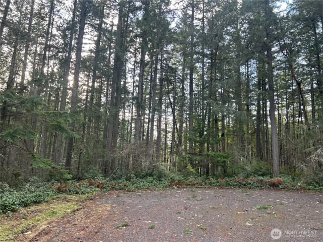 Property photo for 12914 E 101st Street Ct, Anderson Island photo 2