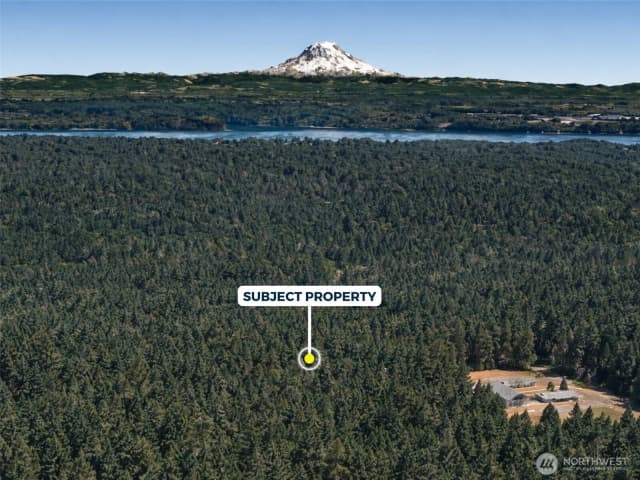 Property photo for 12918 E 101st Street Ct, Anderson Island photo 3