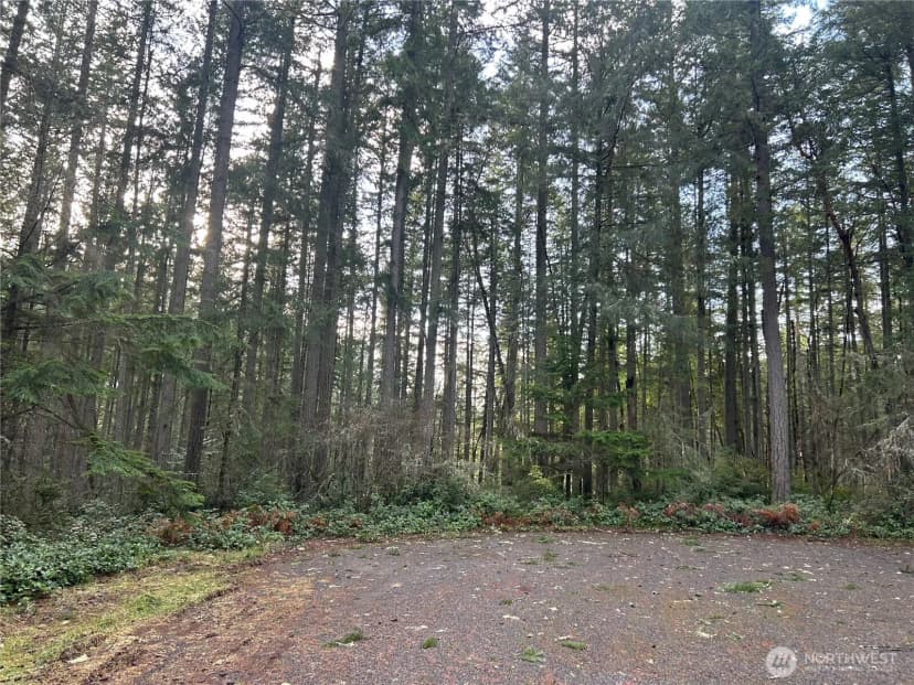 Property photo for 12918 E 101st Street Ct, Anderson Island photo 11