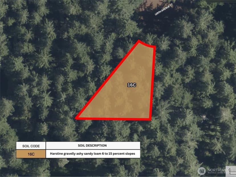 Property photo for 12918 E 101st Street Ct, Anderson Island photo 19