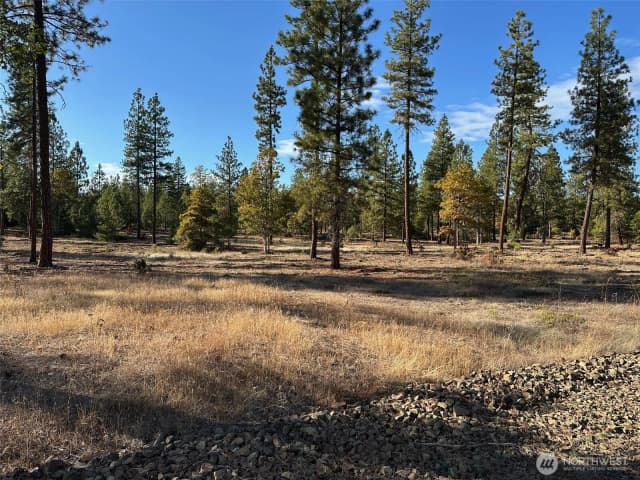 Property photo for 0 000 Piper Lane, Goldendale photo 2