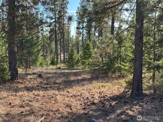 Property photo for 0 000 Piper Lane, Goldendale photo 3