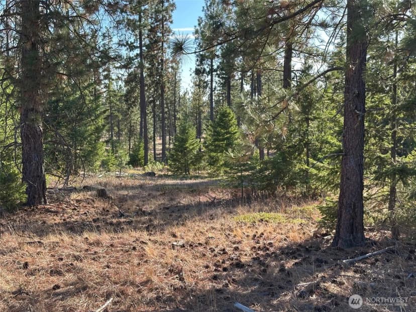 Property photo for 0 000 Piper Lane, Goldendale photo 3