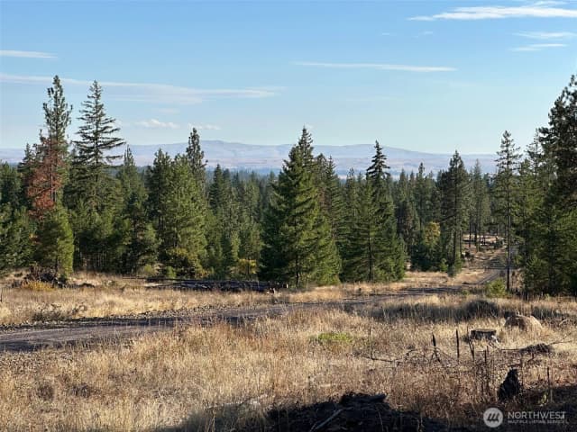 Property photo for 0 000 Piper Lane, Goldendale