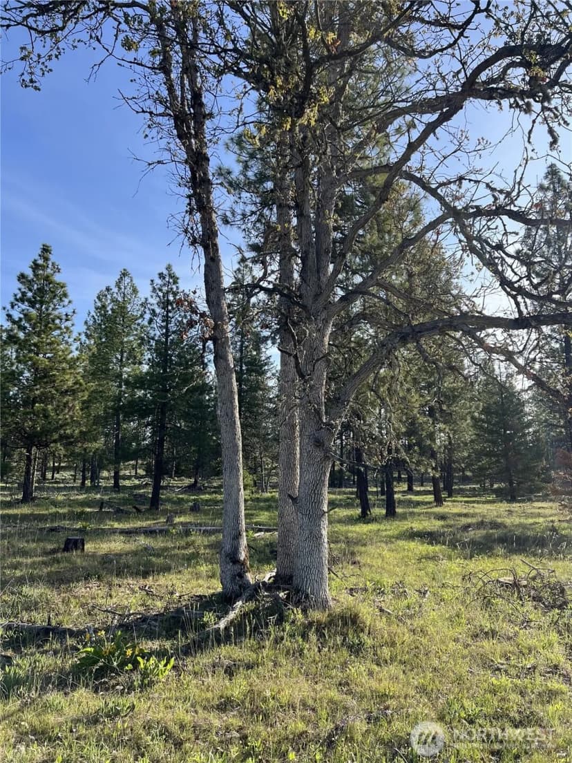 Property photo for 0 000 Skylar Drive, Goldendale photo 6