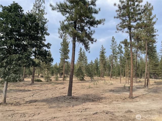 Property photo for 0 000 Skylar Drive, Goldendale photo 4