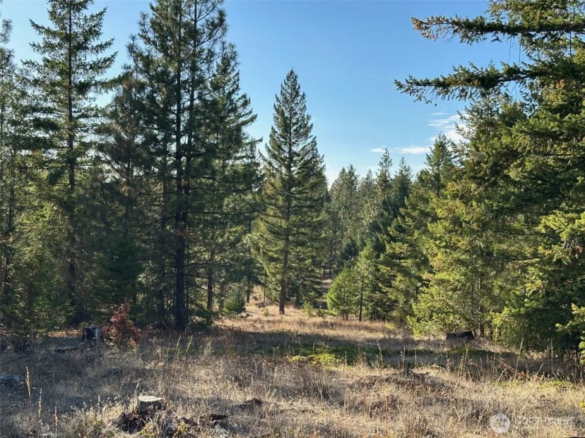 Property photo for 0 000 Skylar Drive, Goldendale photo 2