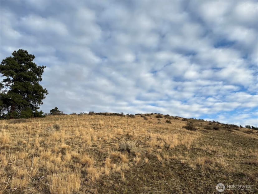 Property photo for 0 Xx Deer Creek Drive, Waterville photo 7