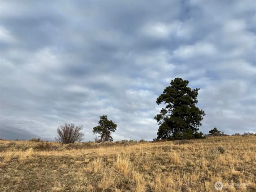 Property photo for 0 Xx Deer Creek Drive, Waterville photo 8