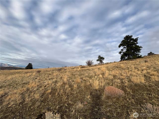 Property photo for 0 Xx Deer Creek Drive, Waterville photo 5