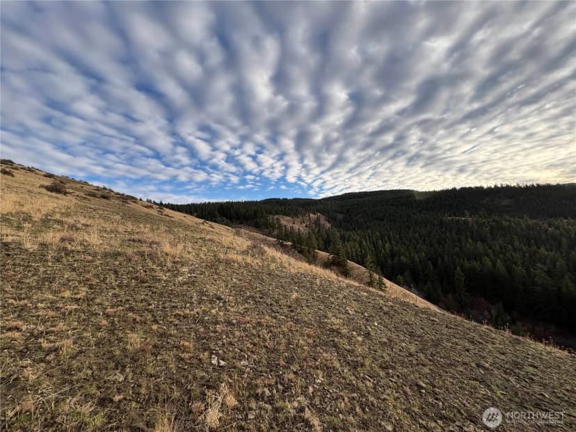 Property photo for 0 Xx Deer Creek Drive, Waterville photo 6