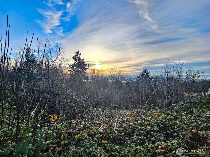 Property photo for 6318 19th Street Ne, Tacoma photo 16