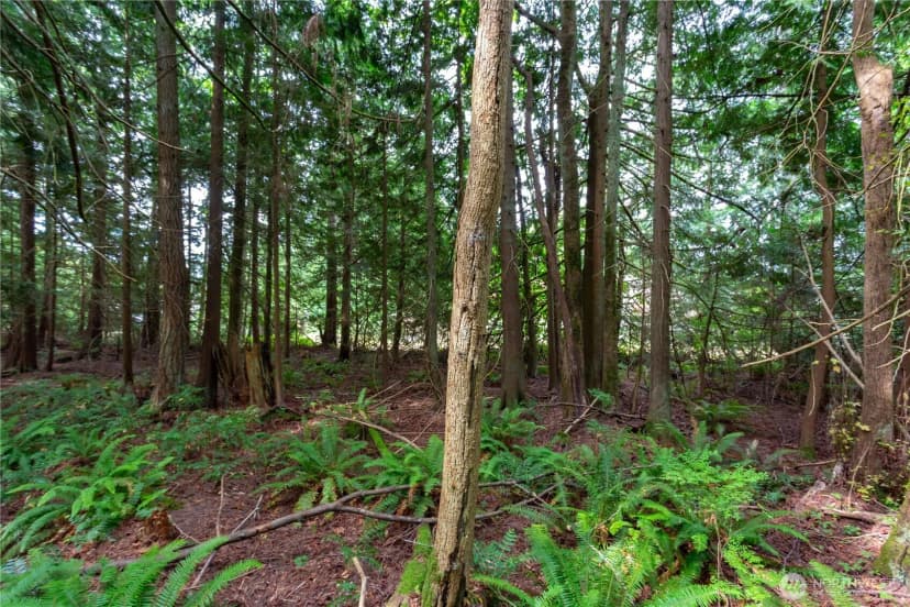 Property photo for 0 Lakewood Road, Stanwood photo 8