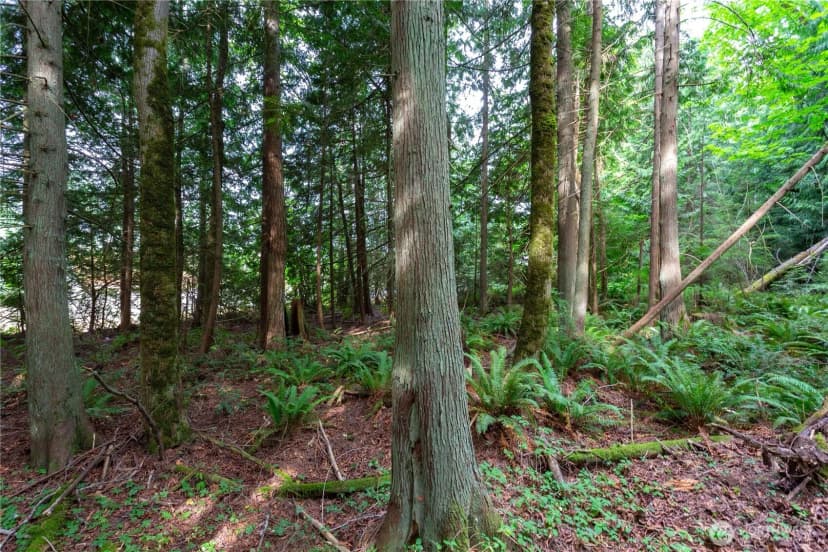 Property photo for 0 Lakewood Road, Stanwood photo 5
