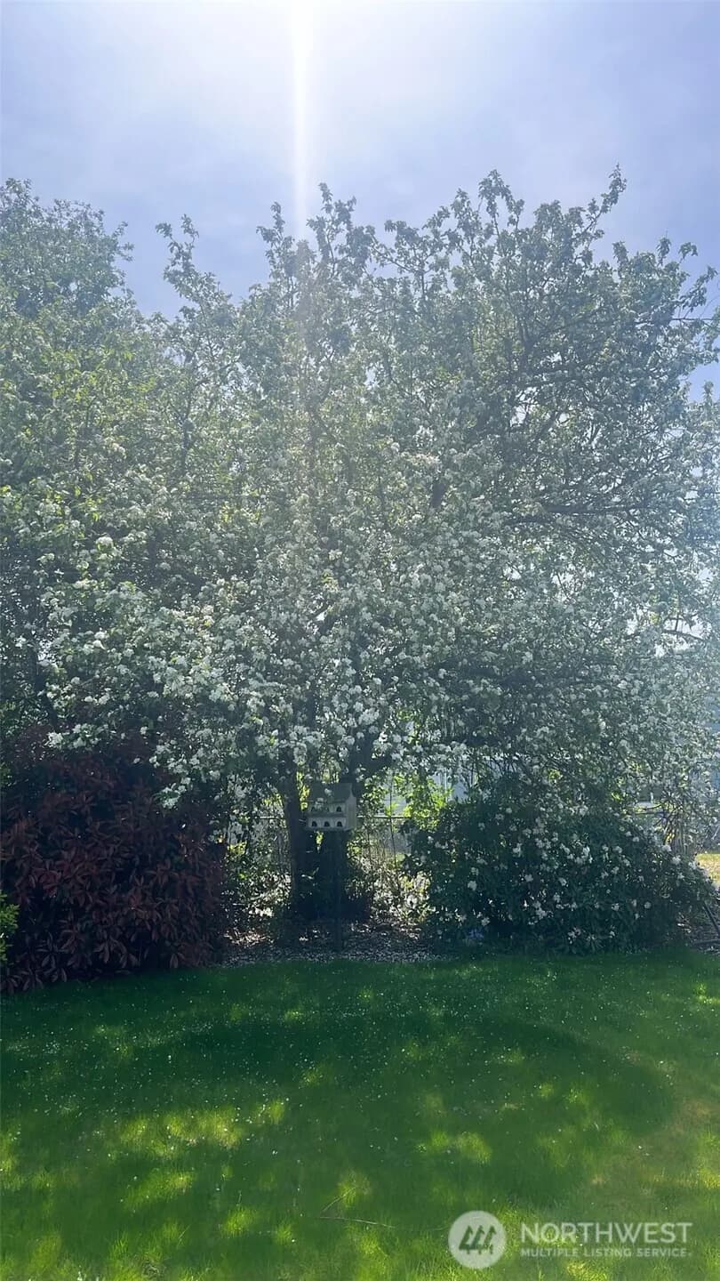 Property photo for 1014 5th Avenue Sw, Puyallup photo 27