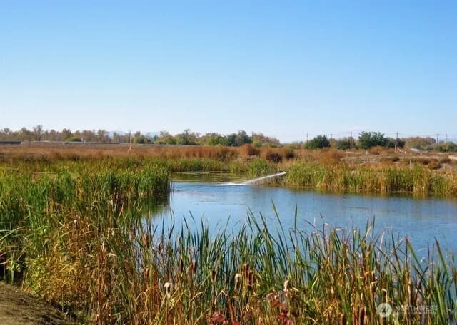 Property photo for 705 Kachess Lane, Zillah photo 37
