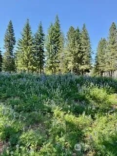 Property photo for 20637 Miracle Mile, Leavenworth photo 3