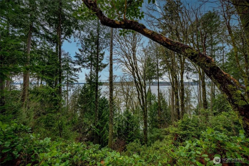 Property photo for 14018 96th Street Ct, Anderson Island photo 6