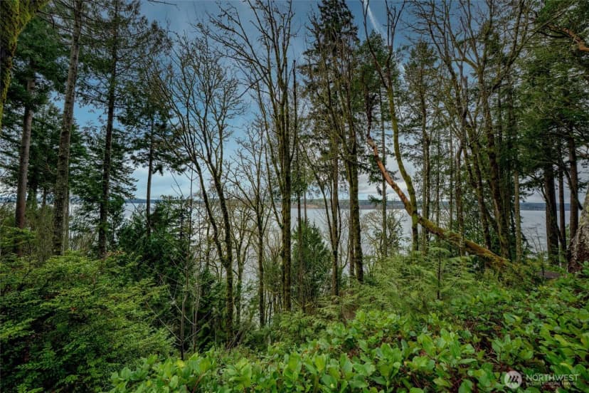 Property photo for 14018 96th Street Ct, Anderson Island photo 7