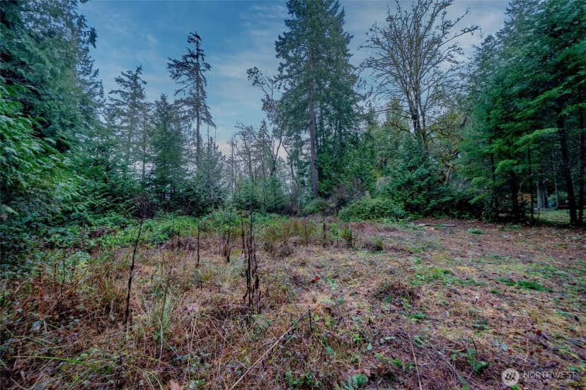 Property photo for 14018 96th Street Ct, Anderson Island photo 12