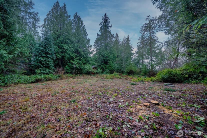 Property photo for 14018 96th Street Ct, Anderson Island photo 16