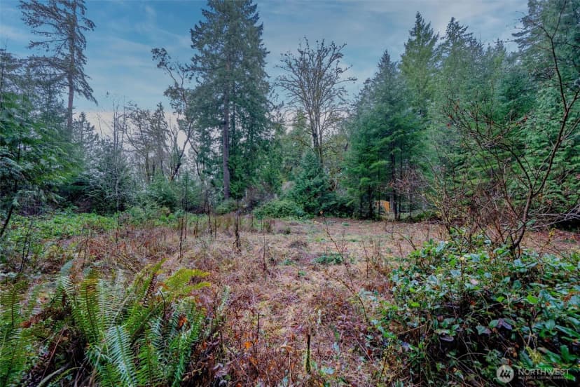 Property photo for 14018 96th Street Ct, Anderson Island photo 14