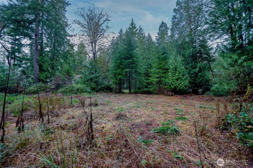 Property photo for 14018 96th Street Ct, Anderson Island photo 13