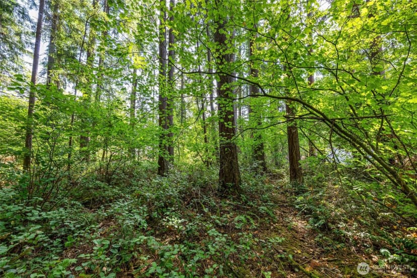 Property photo for 4027 Dent Road Sw, Olympia photo 16