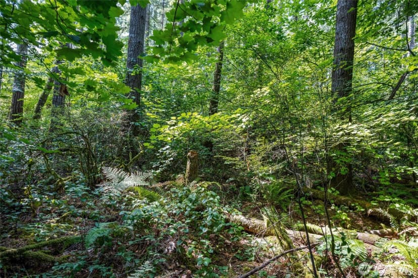 Property photo for 4027 Dent Road Sw, Olympia photo 17