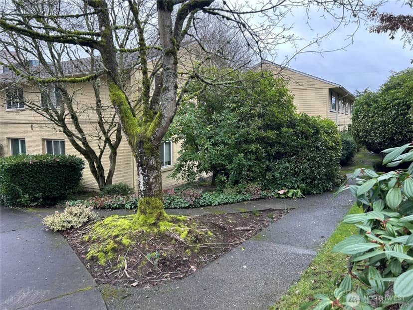Property photo for 4717 Terrace Drive Ne #4717, Seattle photo 15
