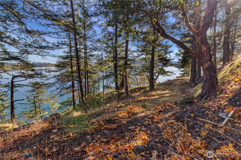 Property photo for 7 Roche Harbor Shores, San Juan Island photo 24