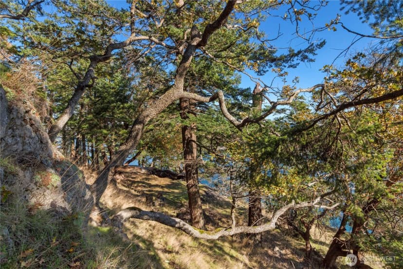 Property photo for 7 Roche Harbor Shores, San Juan Island photo 26