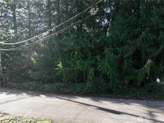 Property photo for 0 Xx 211th Place Se, Sammamish photo 5