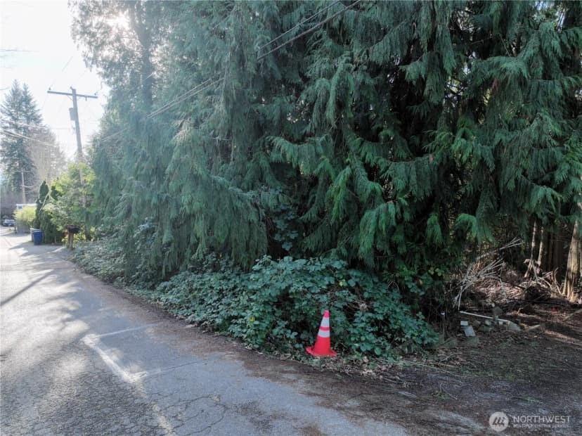 Property photo for 0 Xx 211th Place Se, Sammamish photo 6