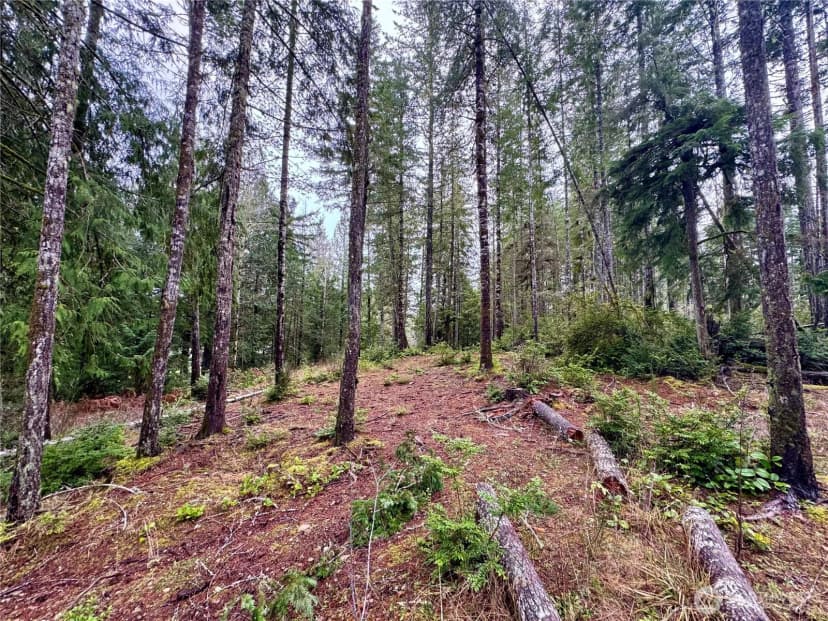 Property photo for 18349 Nw Stavis Bay Road, Seabeck photo 39
