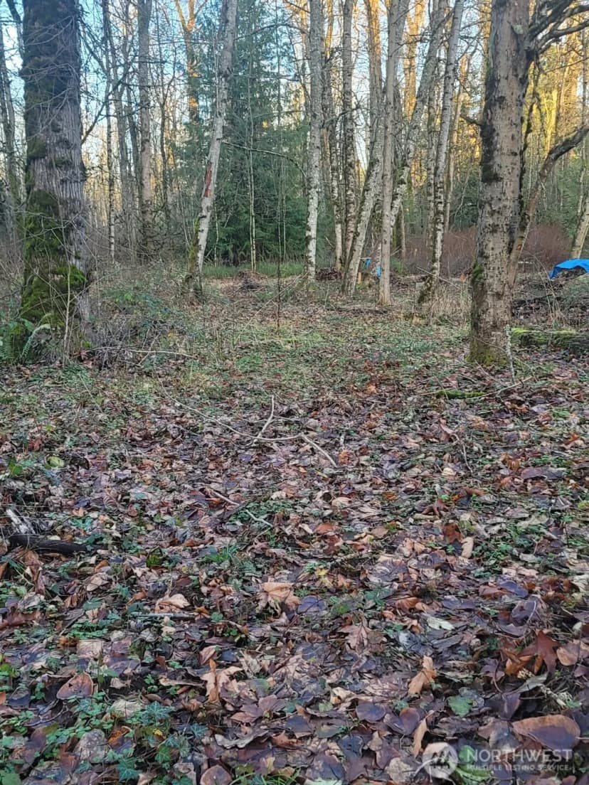 Property photo for 35750 Military Road S, Auburn photo 3