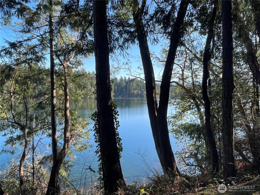 Property photo for 17812 Clear Lake Boulevard Se #se, Yelm photo 4