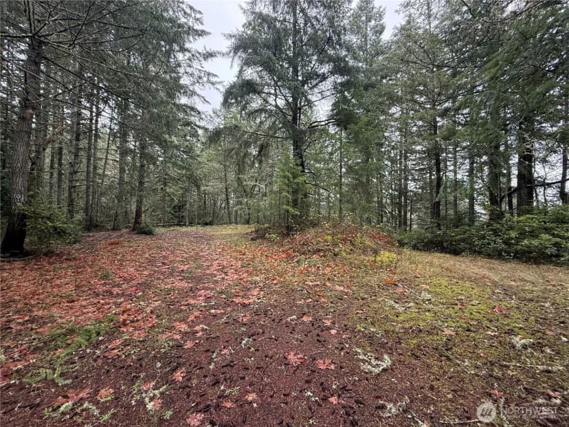 Property photo for 9714 Key Peninsula Hwy Nw, Gig Harbor photo 6