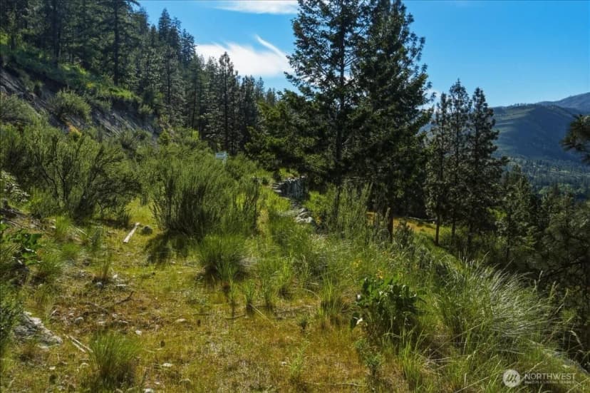 Property photo for 7365 Ridgeview Drive, Chelan photo 7
