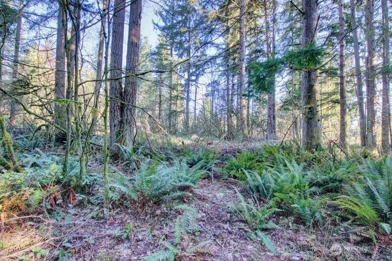 Property photo for 5353 Wildlife Acres, Sedro Woolley photo 23