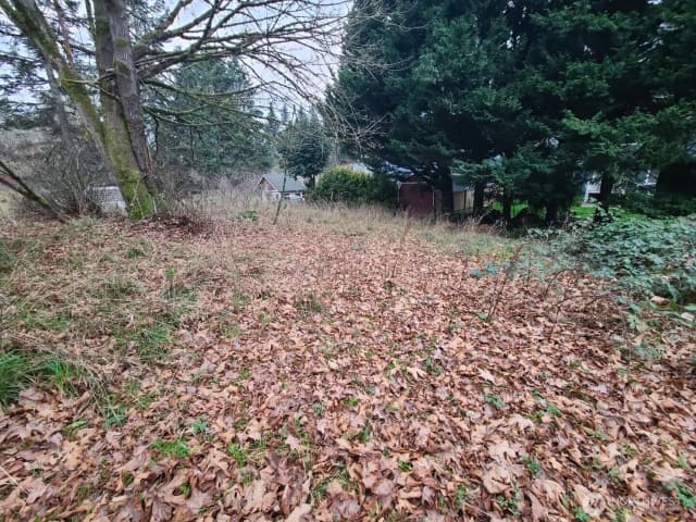 Property photo for 1815 Amhurst Street Se, Olympia photo 5