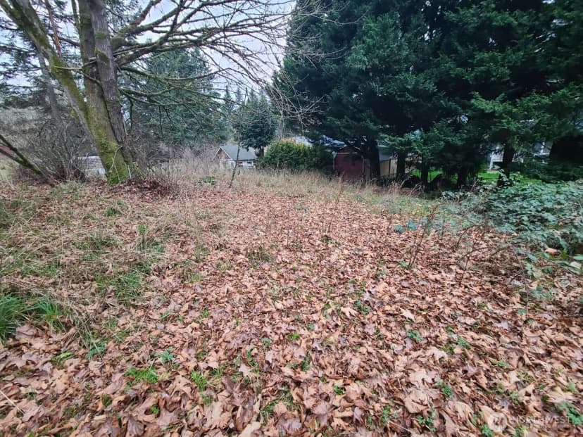 Property photo for 1815 Amhurst Street Se, Olympia photo 5