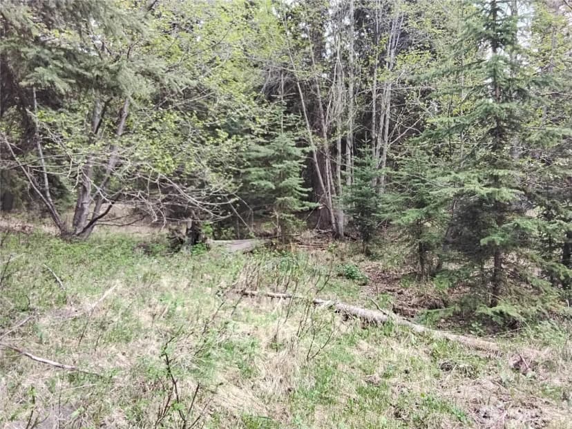 Property photo for 88 Cow Camp Road, Oroville photo 30