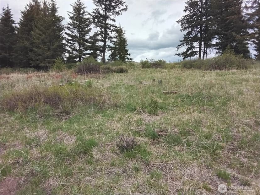 Property photo for 88 Cow Camp Road, Oroville photo 32