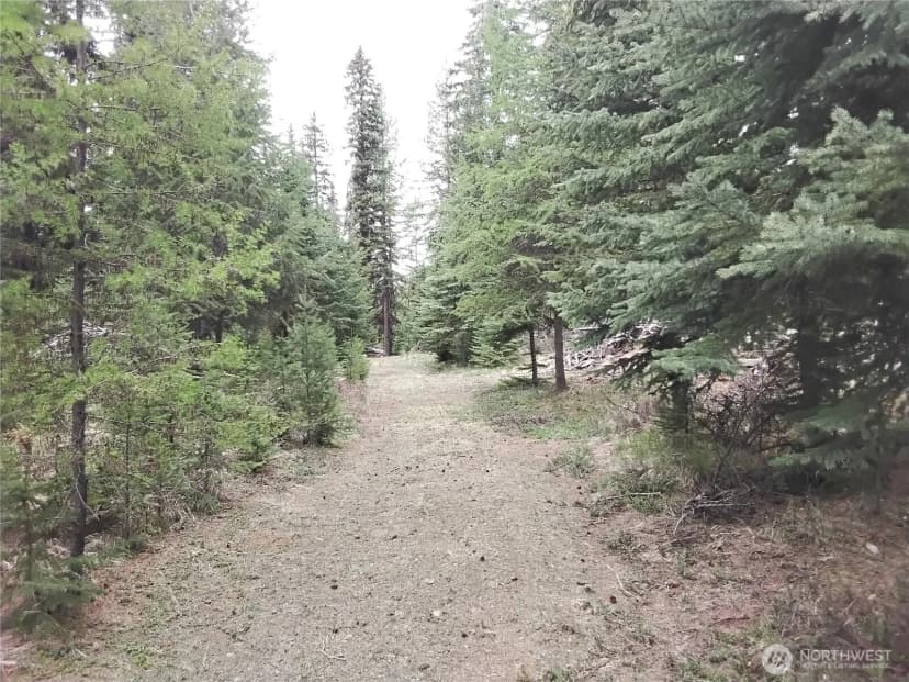 Property photo for 88 Cow Camp Road, Oroville photo 24