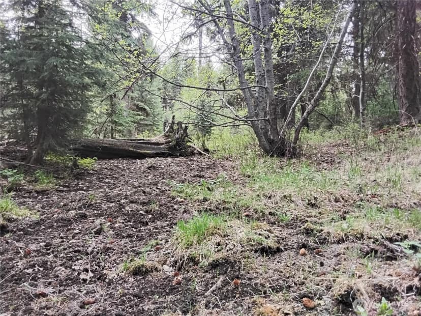 Property photo for 88 Cow Camp Road, Oroville photo 36