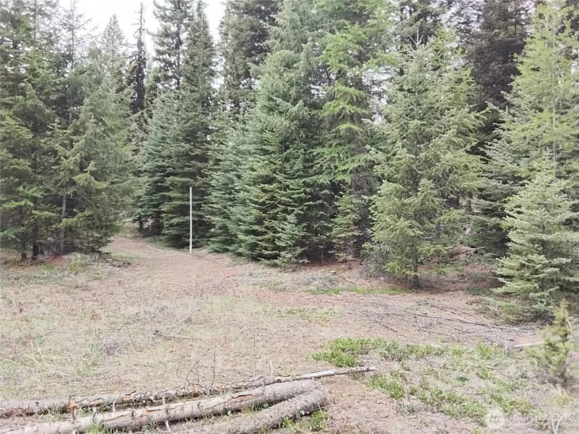 Property photo for 88 Cow Camp Road, Oroville photo 29